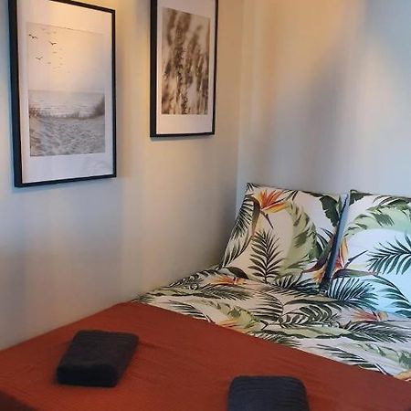 Tropical - Appt Climatise - Proche Plage - Aquarium - Parking - Wifi Кане Екстериор снимка