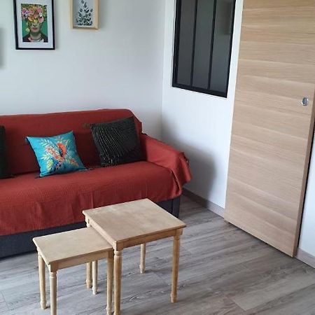 Tropical - Appt Climatise - Proche Plage - Aquarium - Parking - Wifi Кане Екстериор снимка